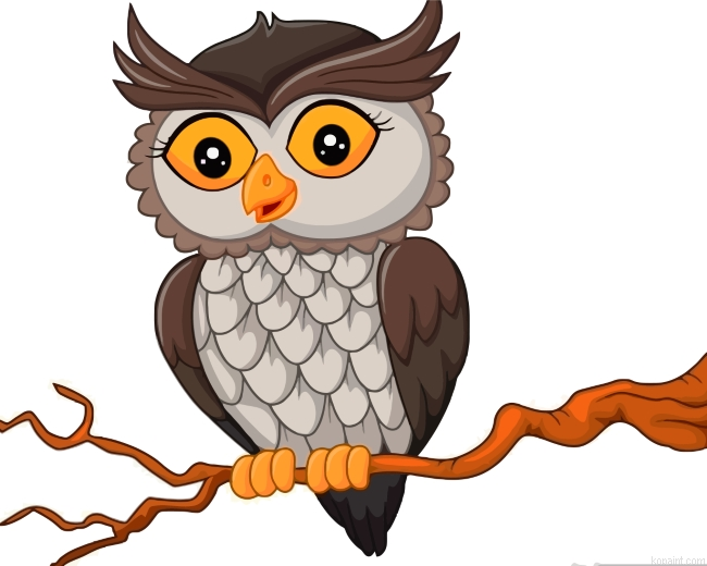 Owl Bird Painting By Numberss.png