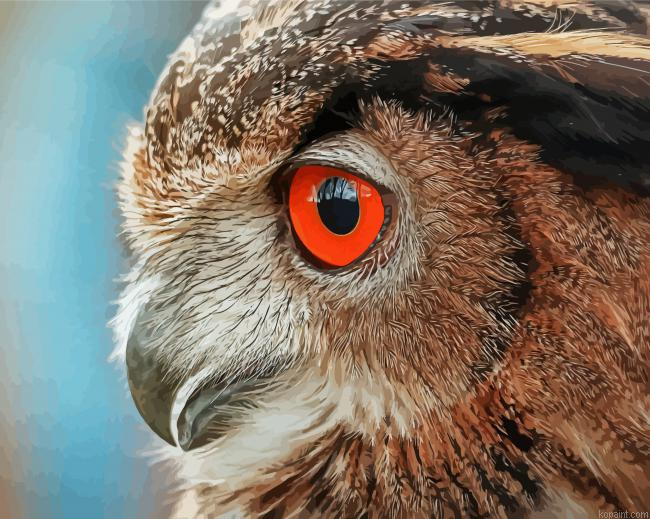 Owl Bird Portrait Painting By Numberss.png