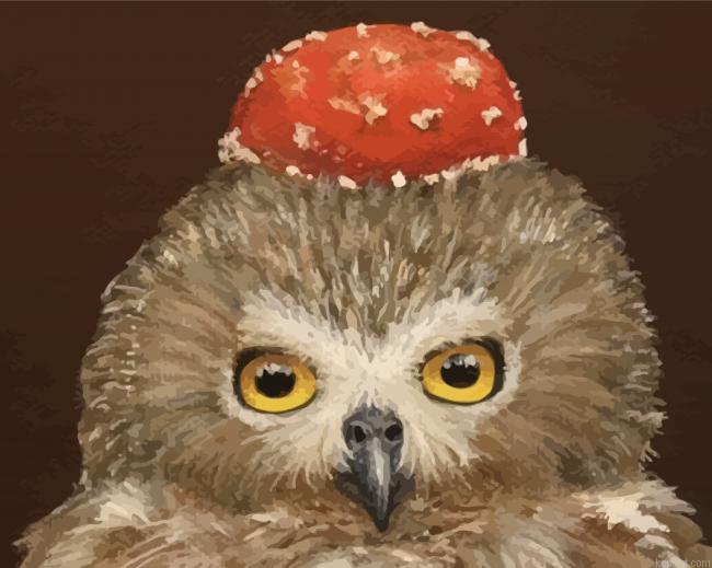 Owl Birds Animal Paint By Numbers