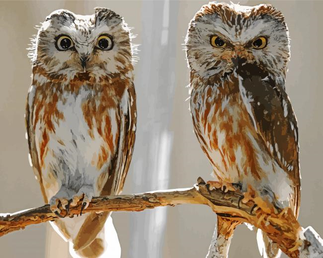 Owl Couple Birds Painting By Numberss.png