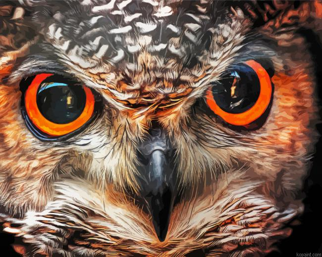 Owl Eye Painting By Numberss.png