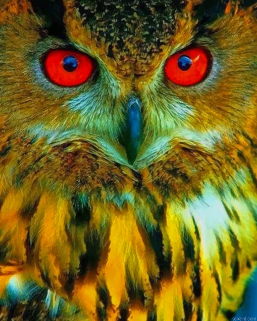 Owl With Red Eyes New Painting By Numberss.png