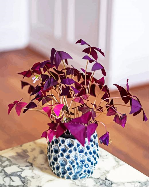 Oxalis Plant Pot Painting By Numberss.png