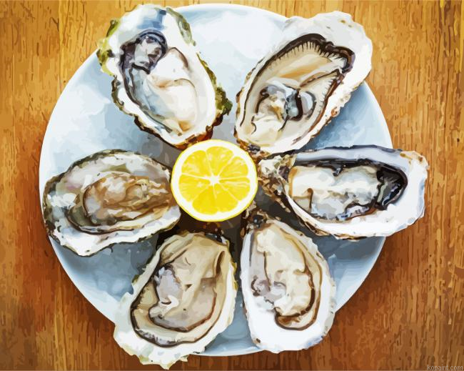 Oyster Paint By Numbers.png
