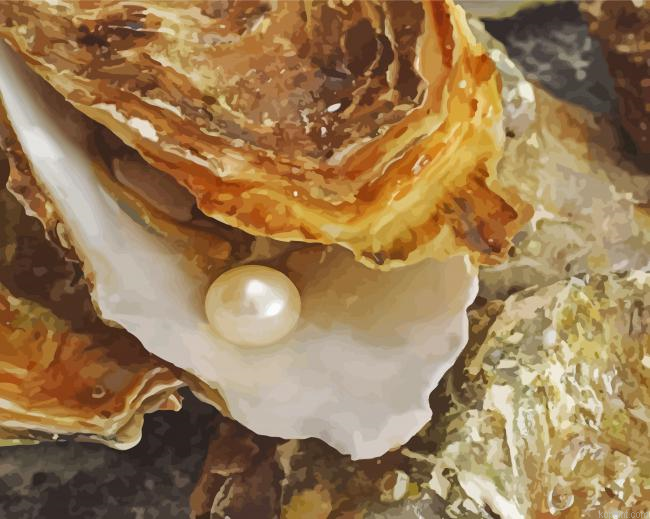 Oyster Pearl Painting By Numberss.png