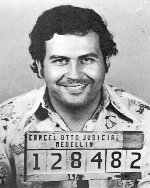 Pablo Escobar New Painting By Numberss.png