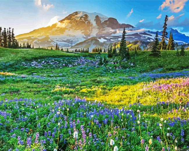 Pacific Northwest Landscape Painting By Numberss.png
