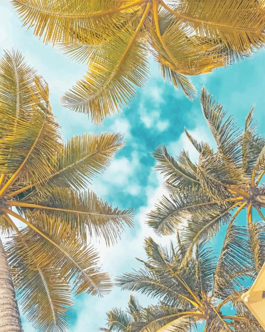 Palms Photography Paint By Numbers