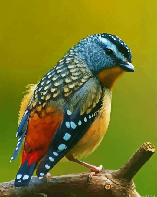 Pardalote Bird Back Painting By Numberss.png