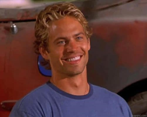 Paul Walker Fast And Furious Painting By Numberss.png