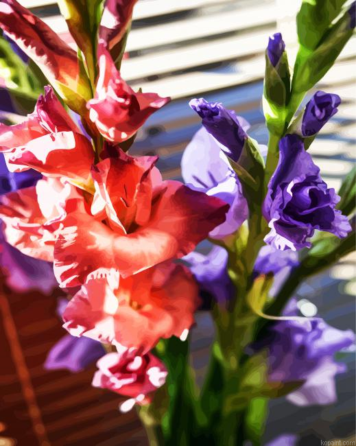 Peachy And purple Gladiolas Paint By Numbers