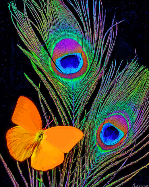 Peacock Feathers And Butterfly Painting By Numberss.png