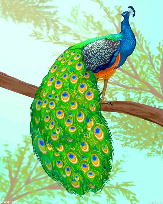 Peacock On A Branch Paint By Numbers