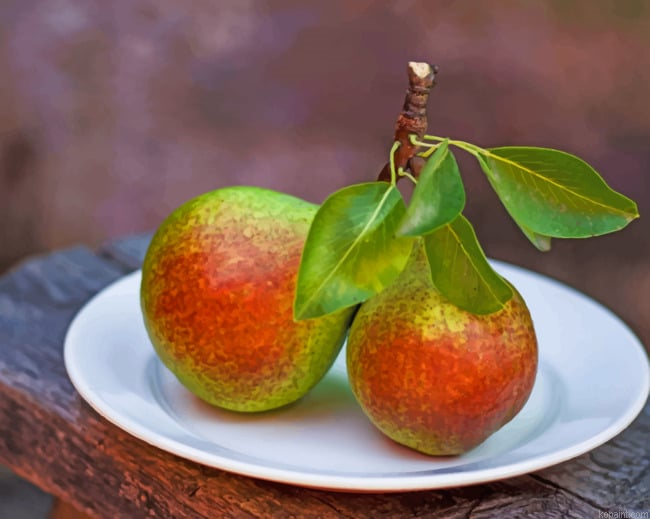 Pears Fruits With Leaves Painting By Numberss.png