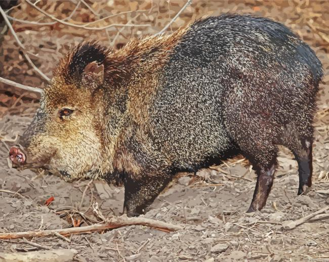 Peccary Wild Animal Painting By Numberss.png