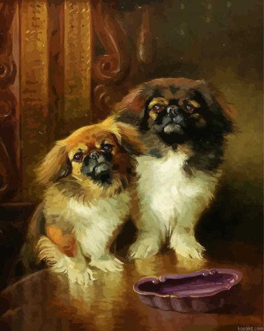 Pekingese Dogs Painting By Numberss.png