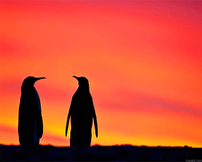 Penguins Silhouette New Painting By Numberss.png
