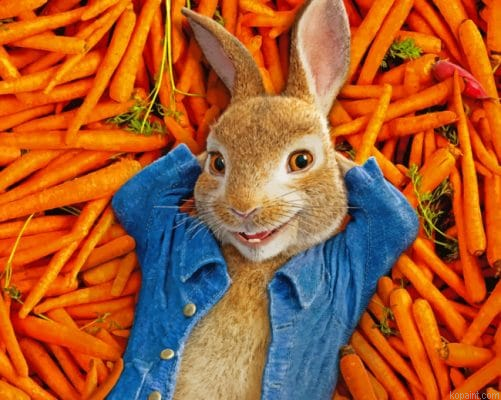 Peter Rabbit Painting By Numberss.png