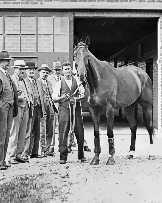 Phar Lap Horse Paint By Numbers