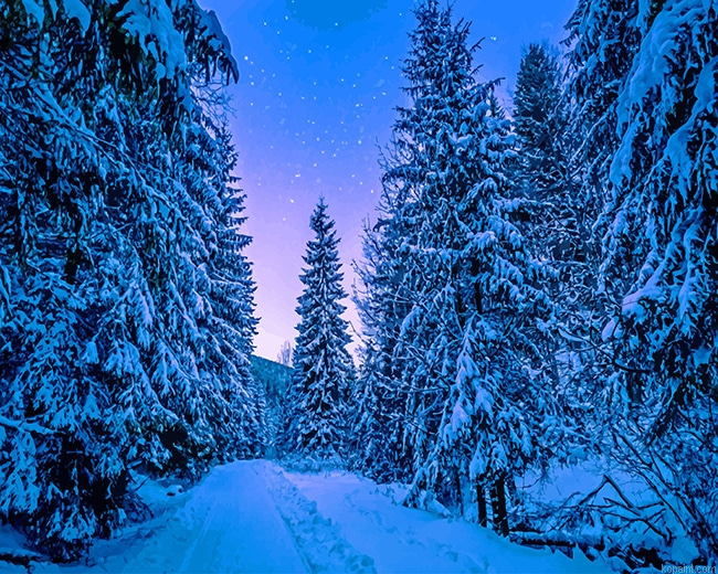 Photography Trees Covered With Snow New Painting By Numberss.png
