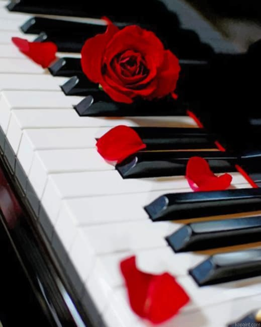 Piano And Red Rose New Painting By Numberss.png