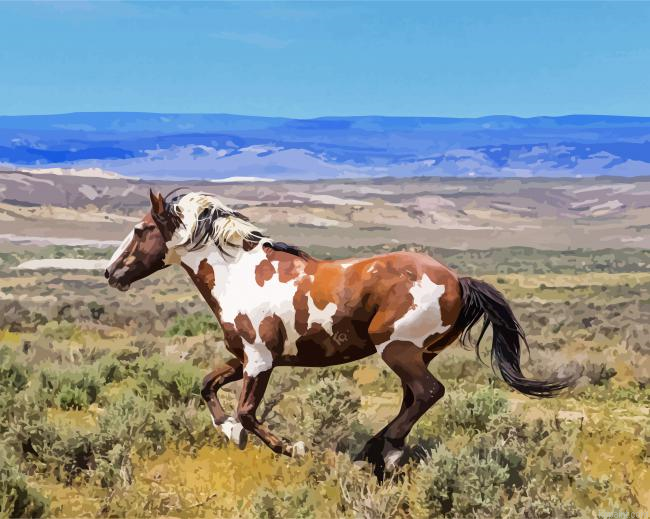 Piccaso Horse Paint By Numbers