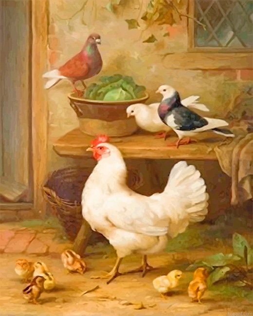 Pigeon And Chicken New Painting By Numberss.png