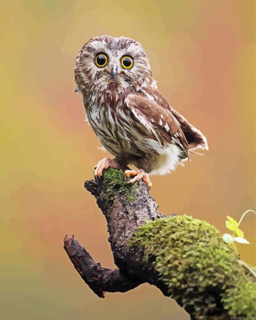 Pigwidgeon Owl Harry Potter Painting By Numberss.png