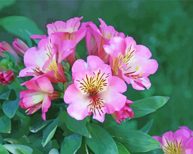 Pink Alstroemeria Flower Painting By Numberss.png