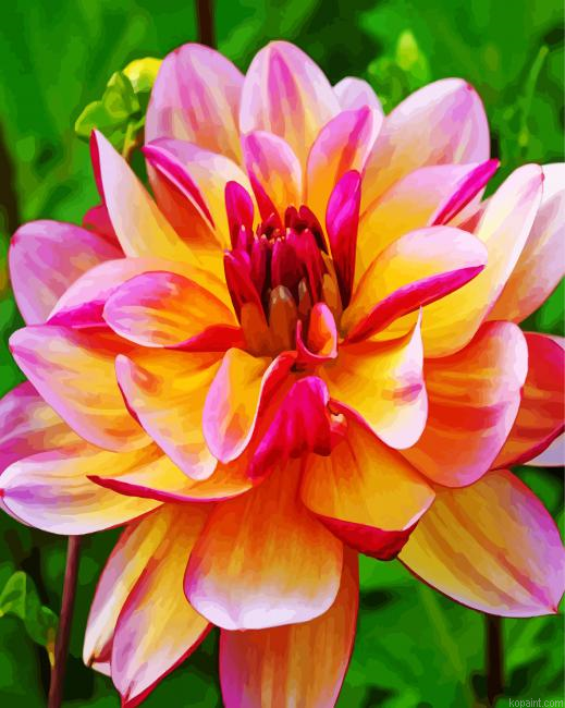 Pink And Yellow Dahlia Painting By Numberss.png