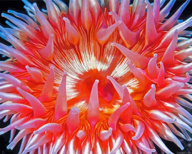 Pink Anemones Flower Painting By Numberss.png