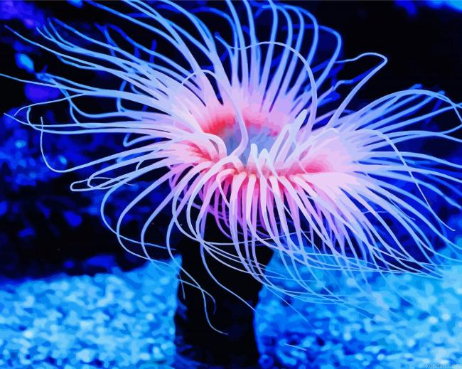 Pink Anemones Underwater Painting By Numberss.png
