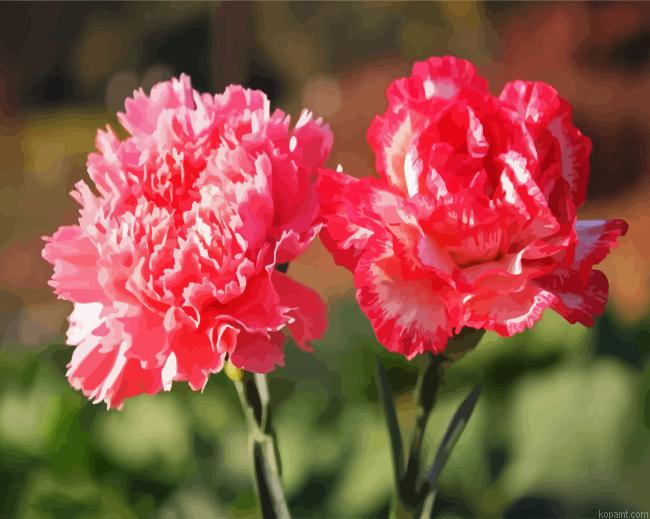 Pink Carnation Paint By Numbers.png