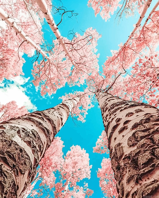 Pink Cherry Blossom New Painting By Numberss.png