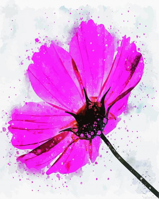 Pink Cosmos Art Paint By Numbers.png