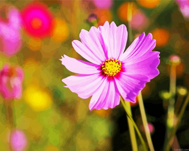 Pink Cosmos Flower Painting By Numberss.png