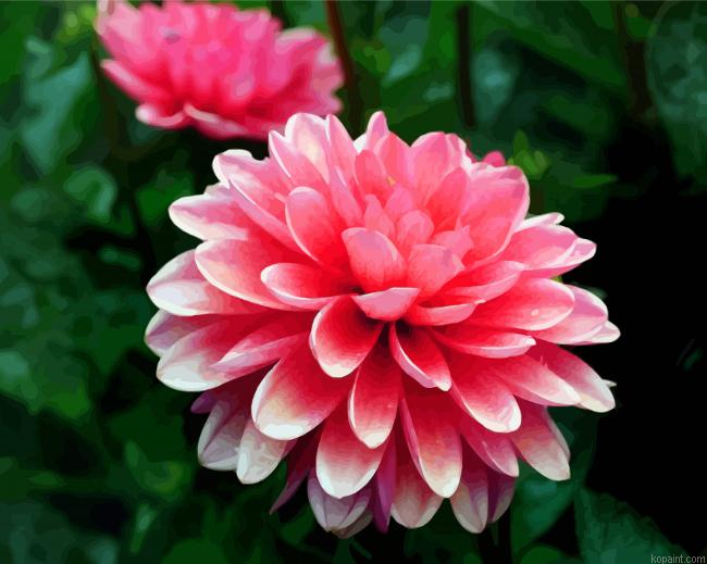 Pink Dahlia Painting By Numberss.png