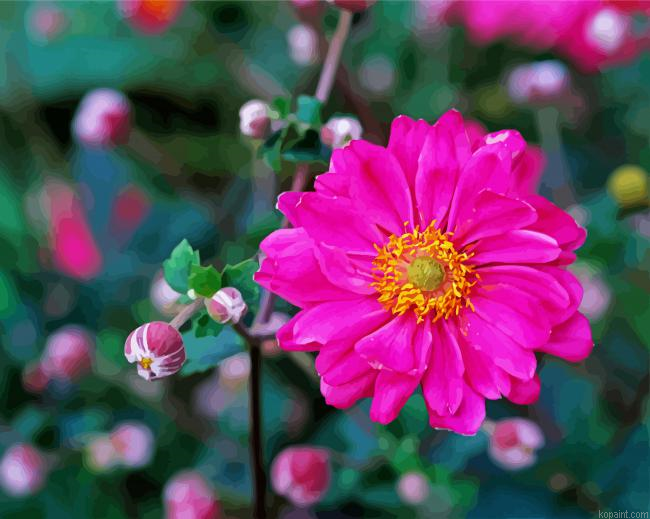 Pink Flower Anemone Paint By Numbers.png
