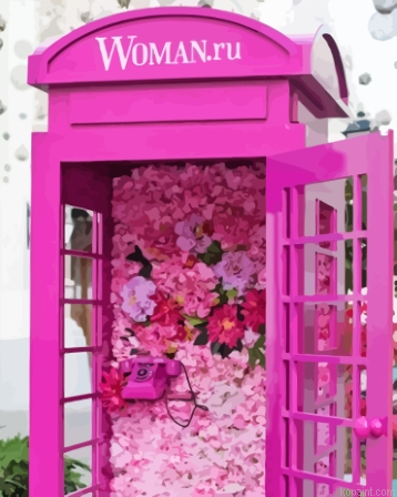 Pink Flower Booth Painting By Numberss.png