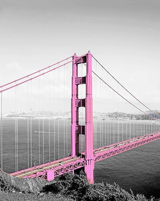 Pink Golden Gate Bridge New Painting By Numberss.png