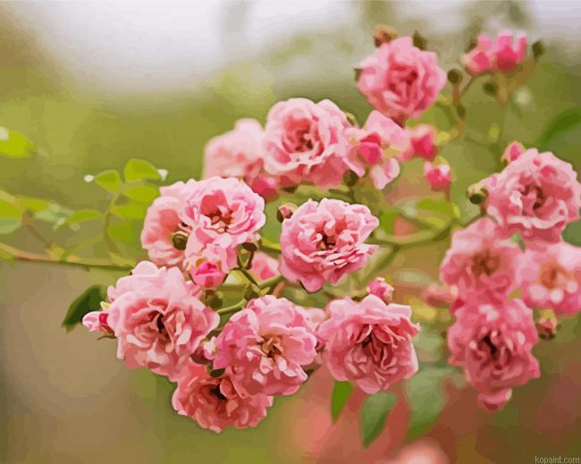 Pink Lilac Rose Painting By Numberss.png