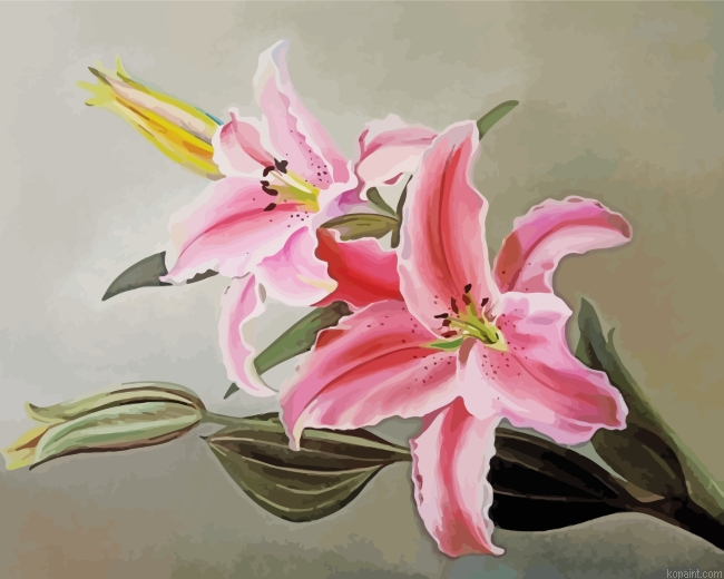 Pink Lilies Painting By Numberss.png