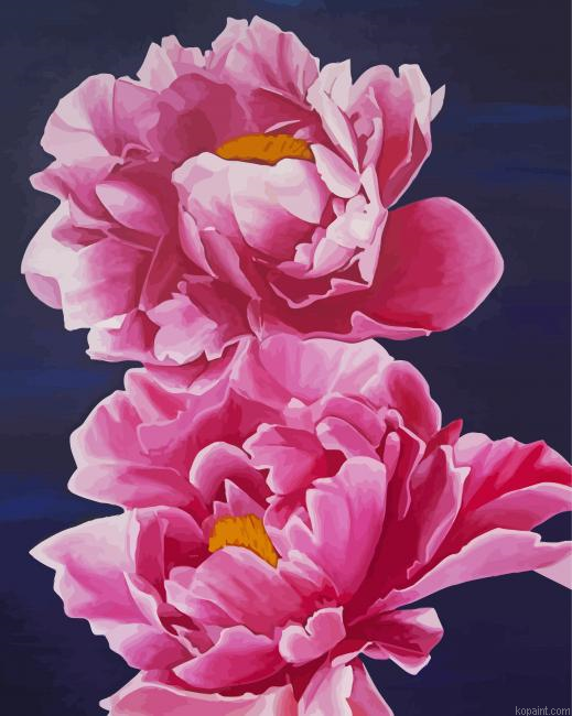 Pink Love Peony Painting By Numberss.png