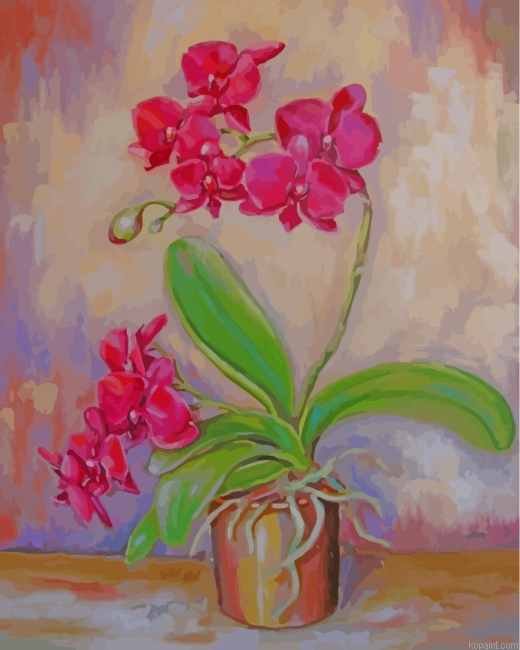 Pink Orchid Flower Painting By Numberss.png