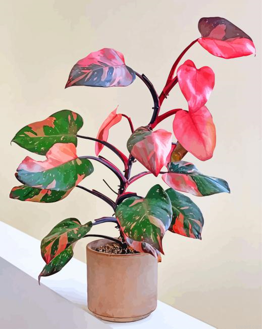 Pink Philodendron Painting By Numberss.png