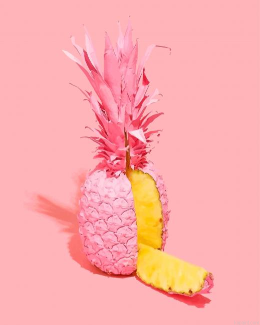 Pink Pineapple Fruits Painting By Numberss.png