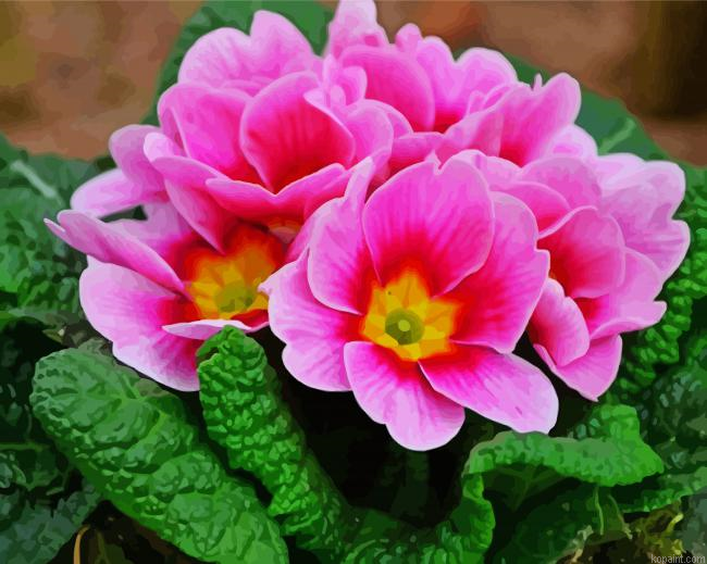 Pink Primrose Painting By Numberss.png