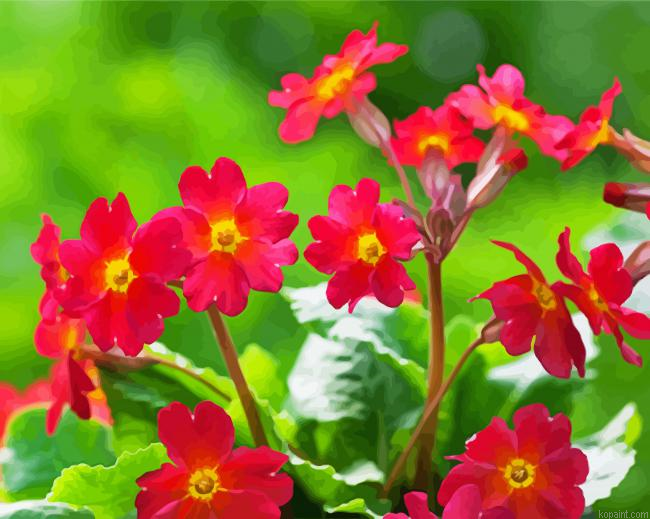Pink Primroses Paint By Numbers.png