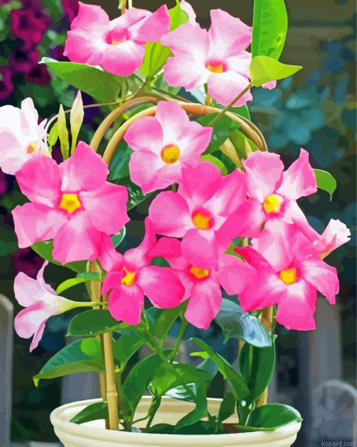 Pink Rocktrumpet Paint By Numbers