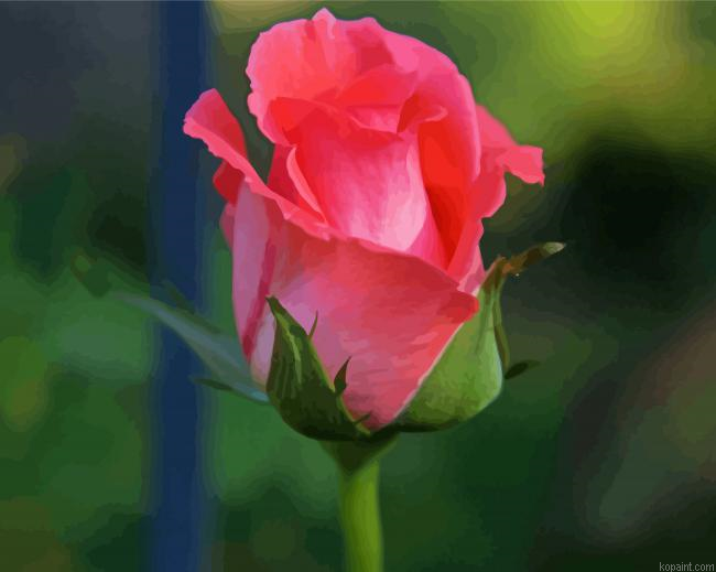 Pink Rosebud Painting By Numberss.png